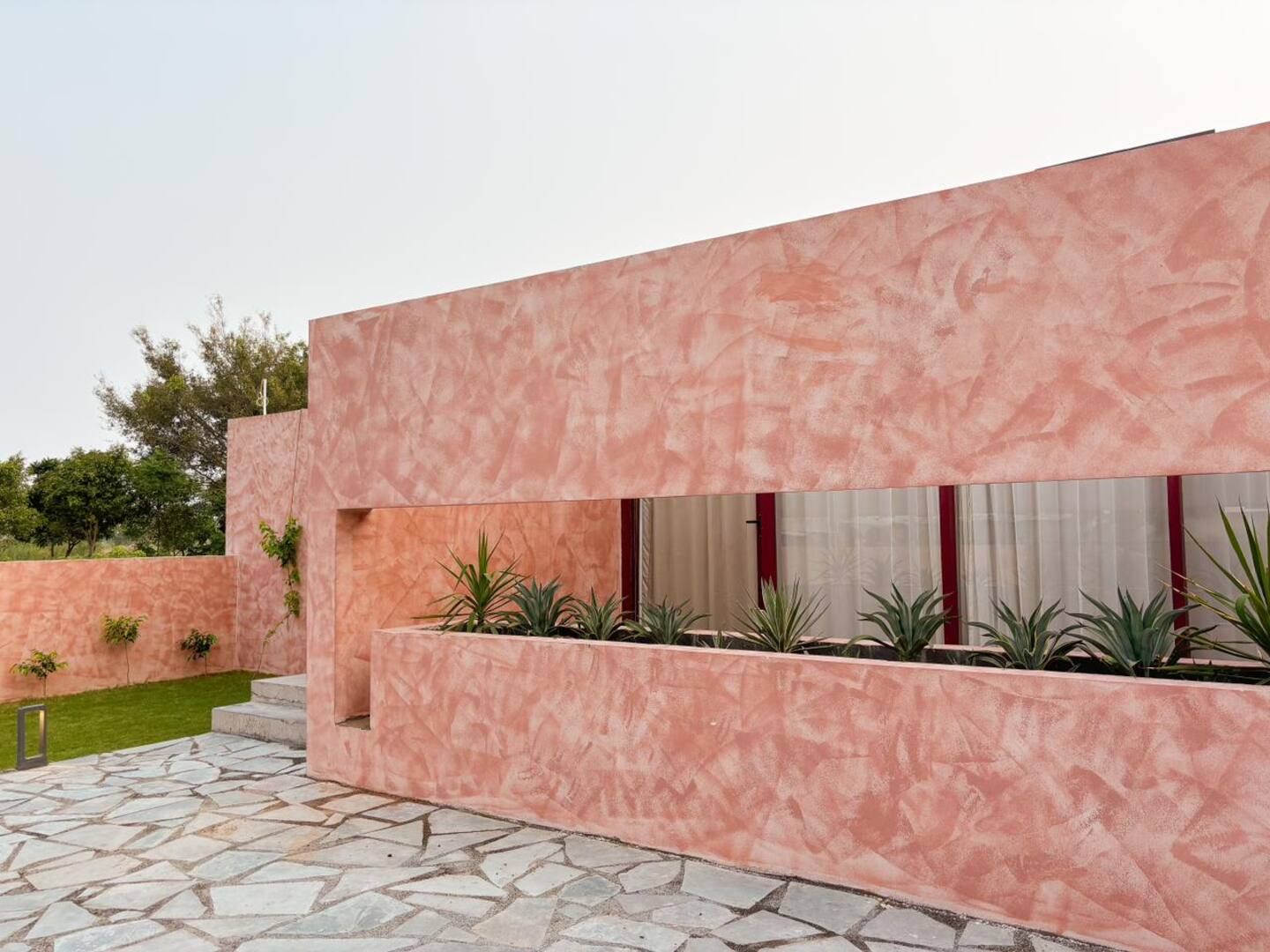 Apricot Garden Courtyard — terracotta walls and a planted ledge by day